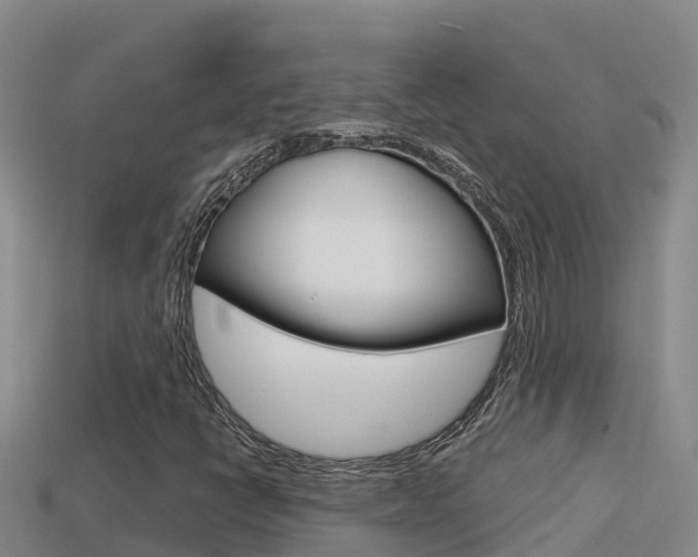 X0000114421398200910161043
