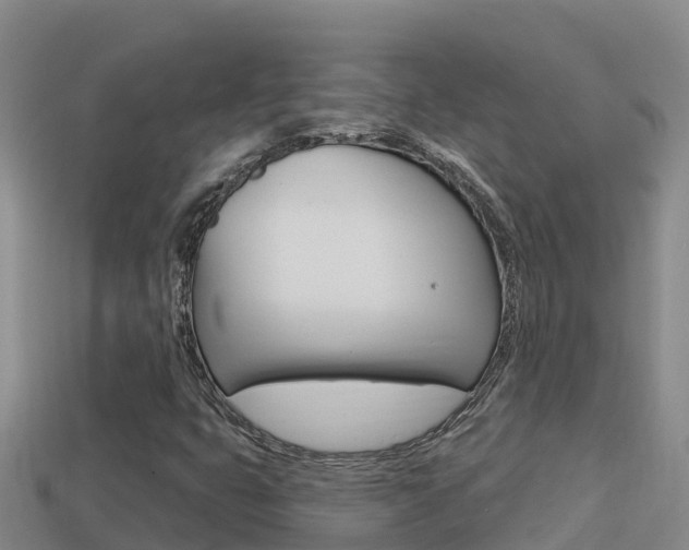 X0000114421399200910161043