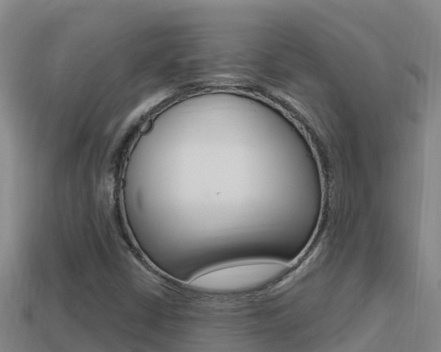 X0000114421402200910161043