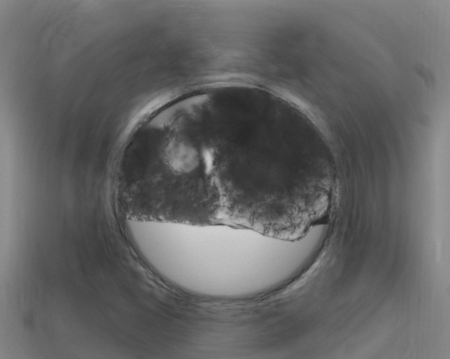 X0000114421405200910161043
