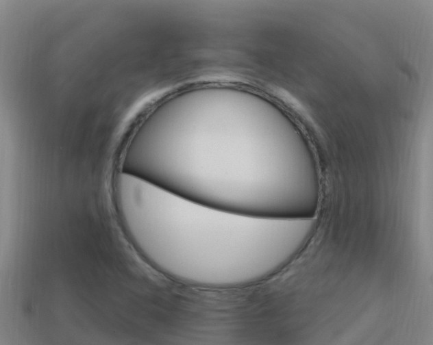 X0000114421408200910161043