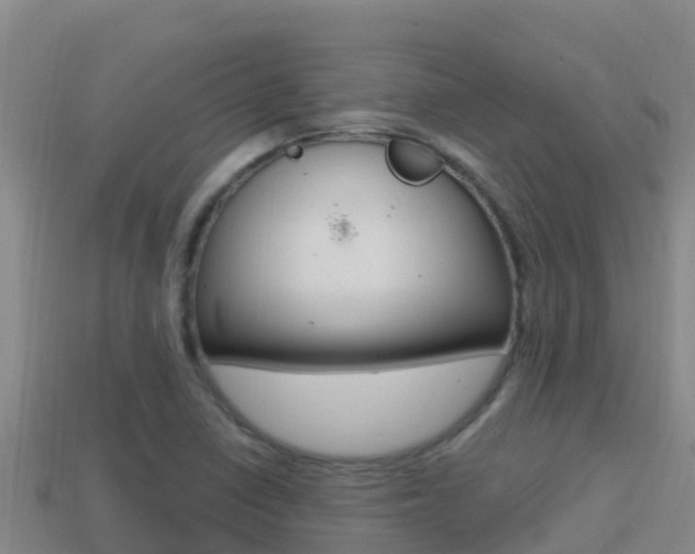 X0000114421410200910161043