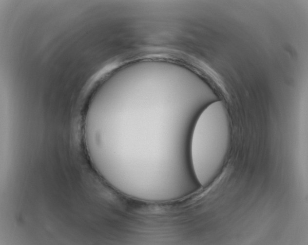 X0000114421411200910161043