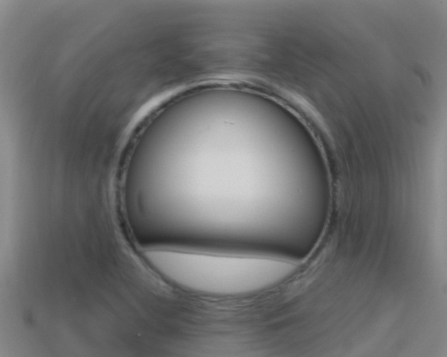 X0000114421412200910161043