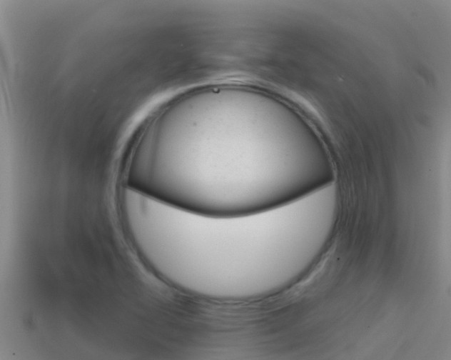 X0000114421414200910161043