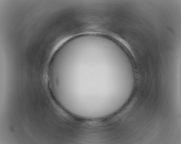 X0000114421415200910161043