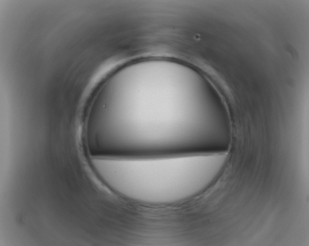 X0000114421416200910161043