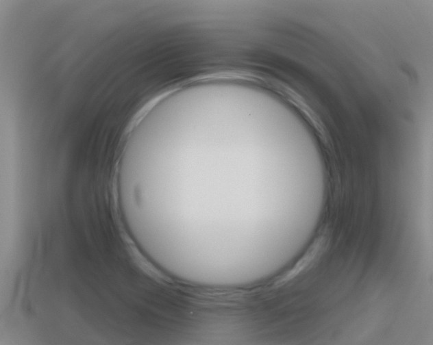 X0000114421417200910161043
