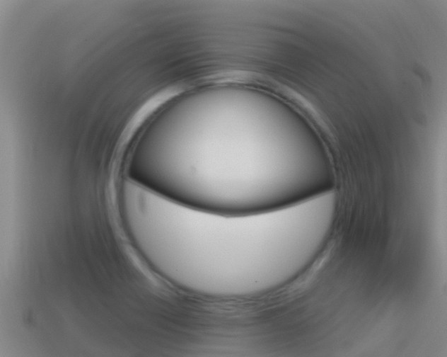 X0000114421418200910161043