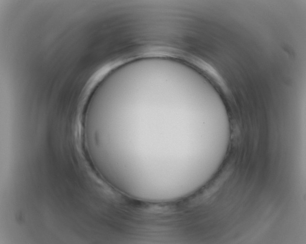 X0000114421419200910161043