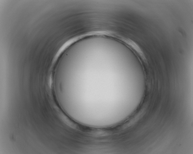 X0000114421420200910161043