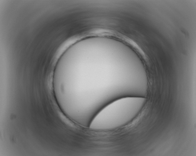 X0000114421421200910161043