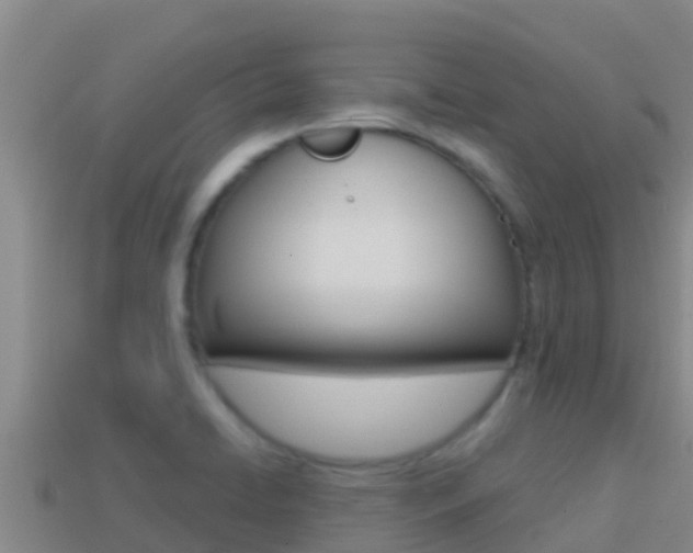 X0000114421422200910161043