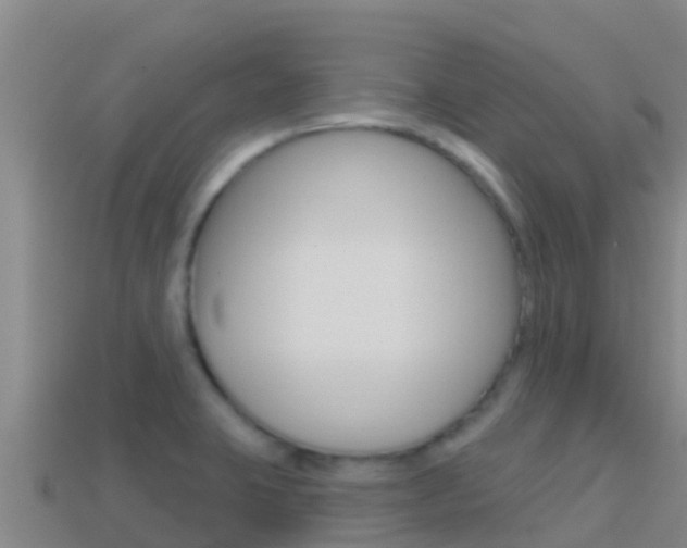 X0000114421423200910161043