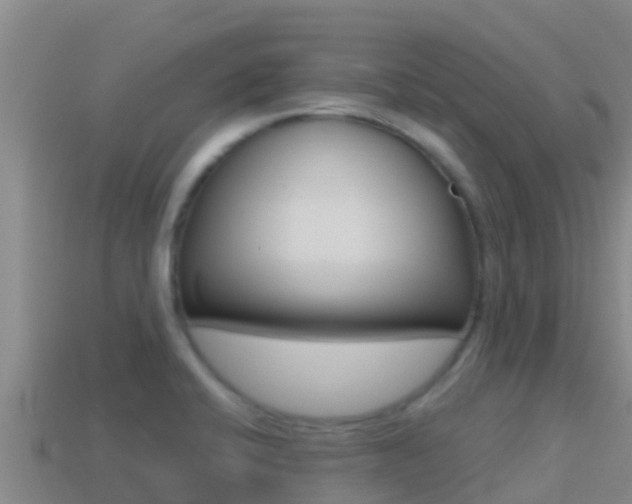 X0000114421424200910161043