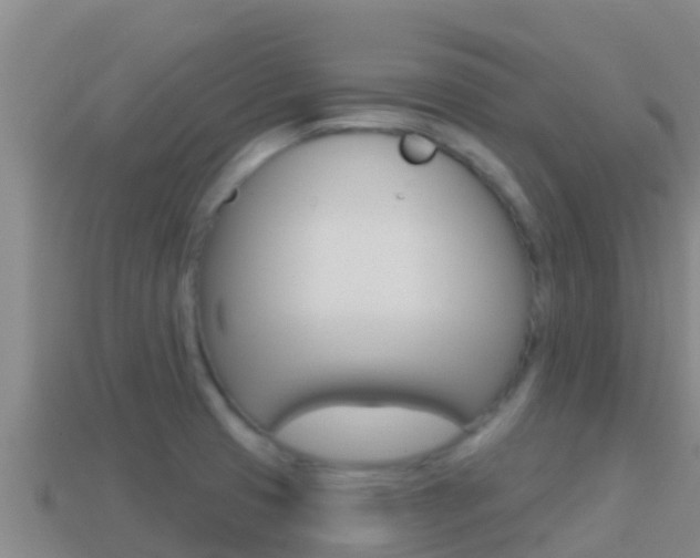 X0000114421425200910161043