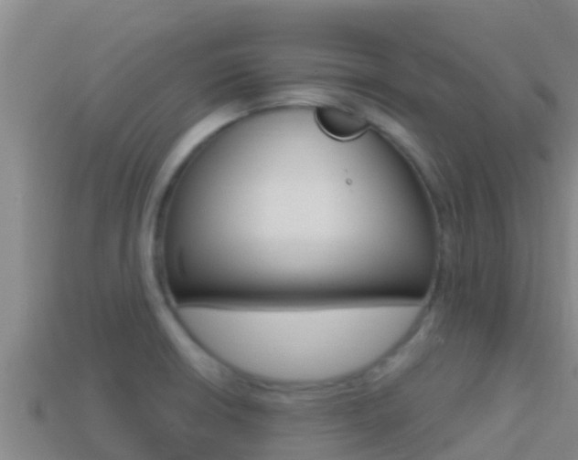 X0000114421426200910161043