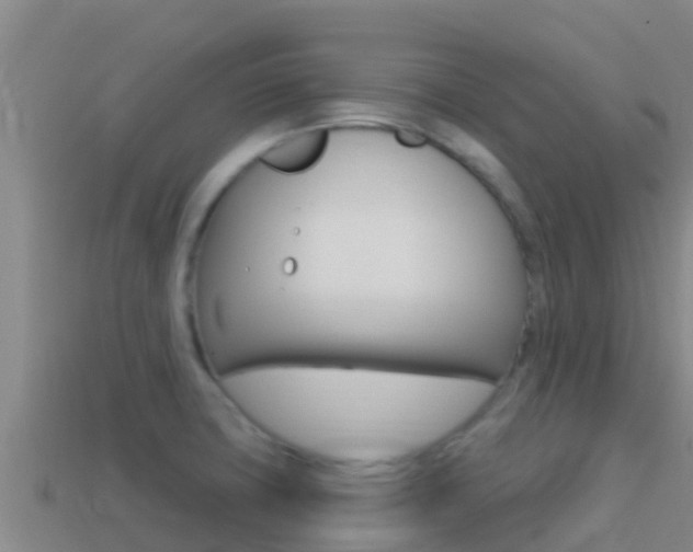 X0000114421427200910161043