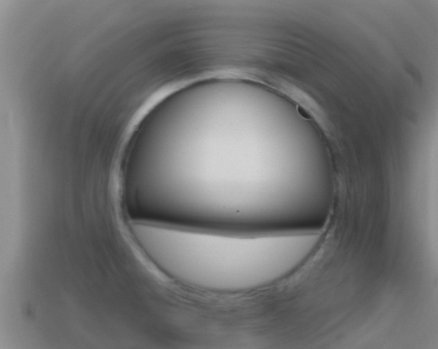 X0000114421428200910161043