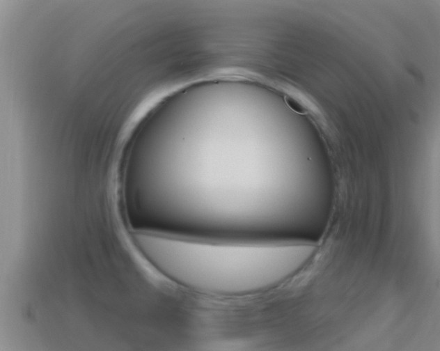 X0000114421430200910161043