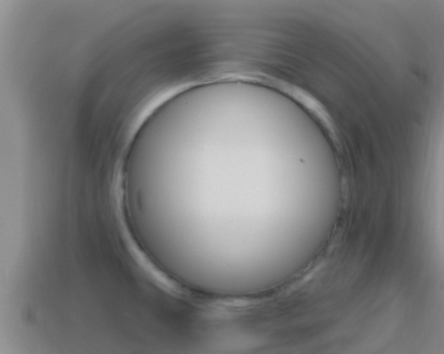 X0000114421431200910161043