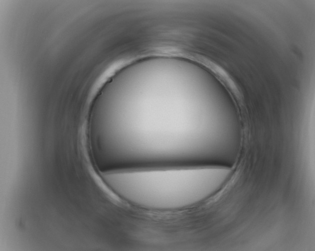X0000114421432200910161044