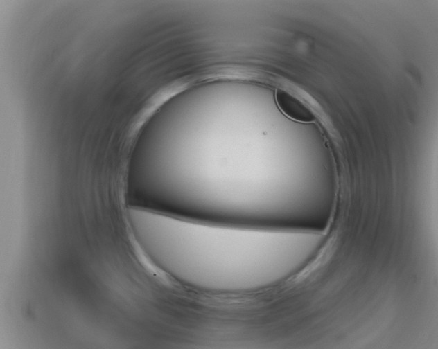 X0000114421433200910161044