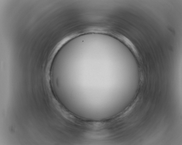 X0000114421435200910161044