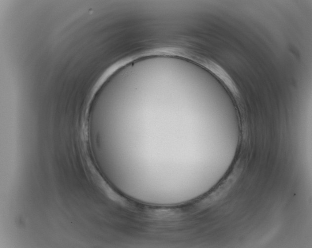 X0000114421436200910161044