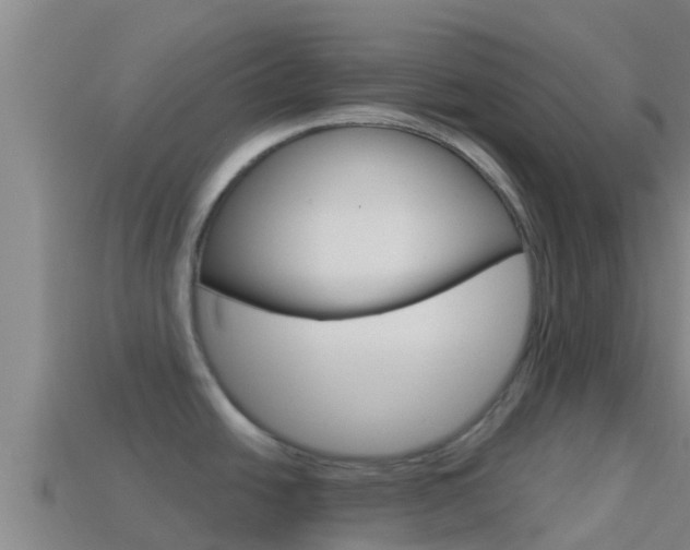 X0000114421438200910161044