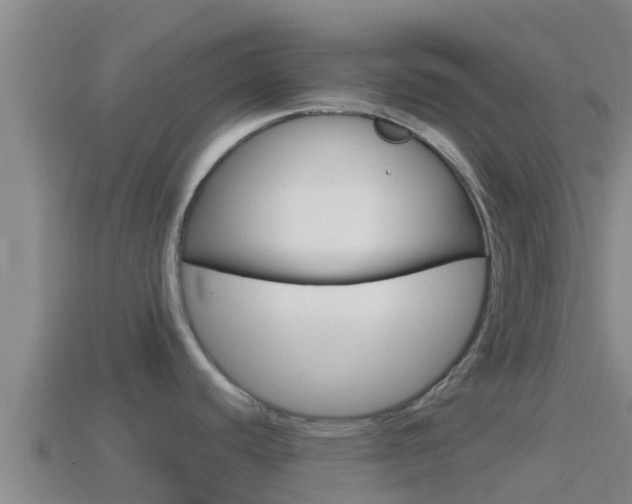 X0000114421440200910161044