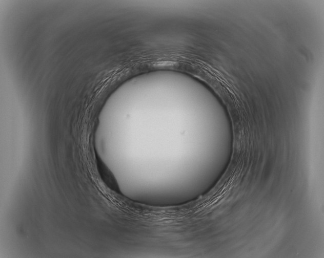 X0000114421441200910161043