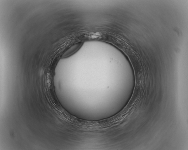 X0000114421442200910161043