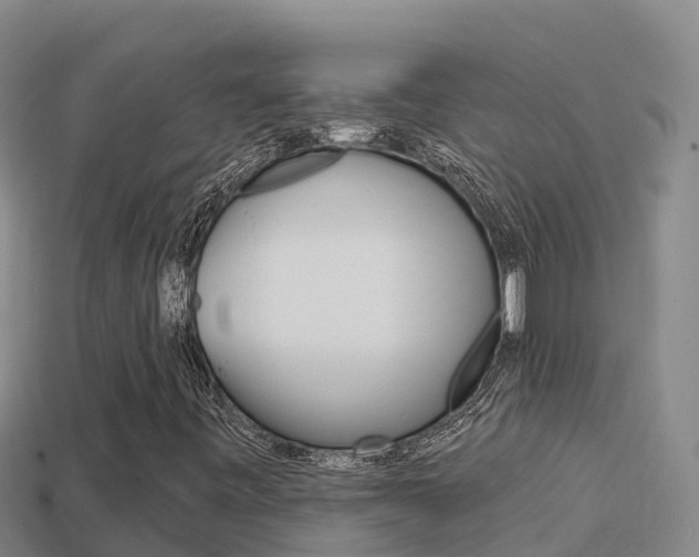 X0000114421443200910161043