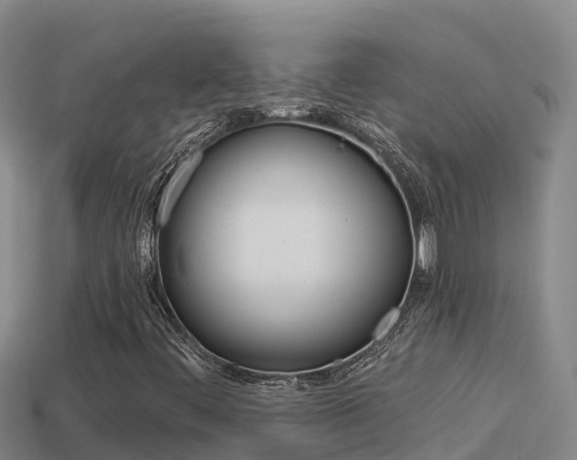 X0000114421444200910161043