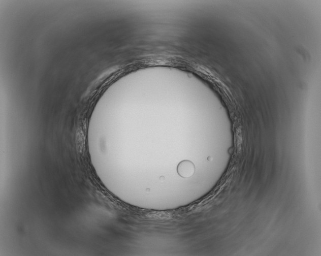 X0000114421446200910161043