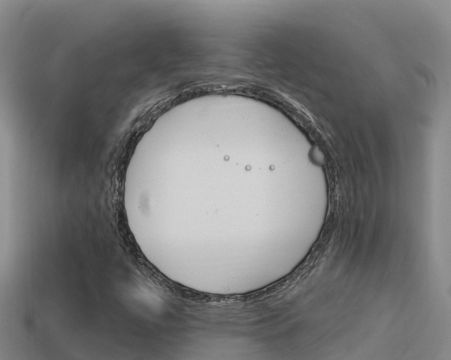 X0000114421447200910161043