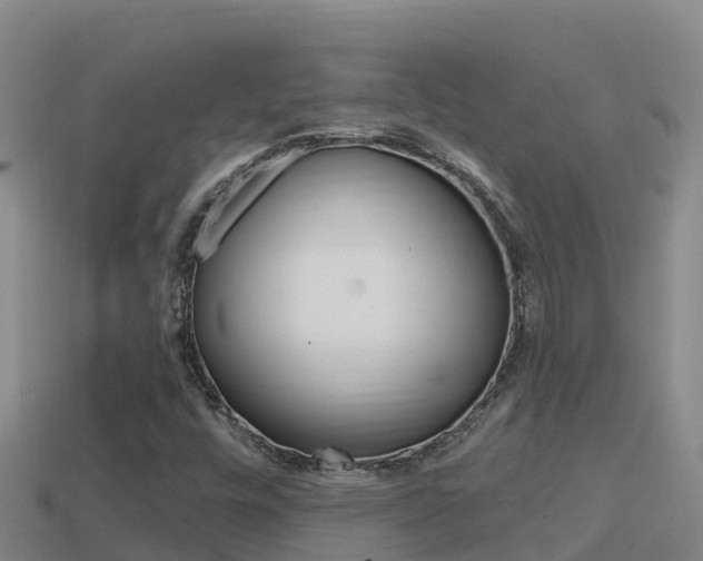 X0000114421448200910161043