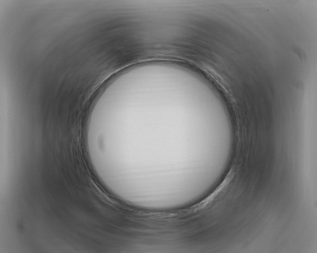 X0000114421449200910161043