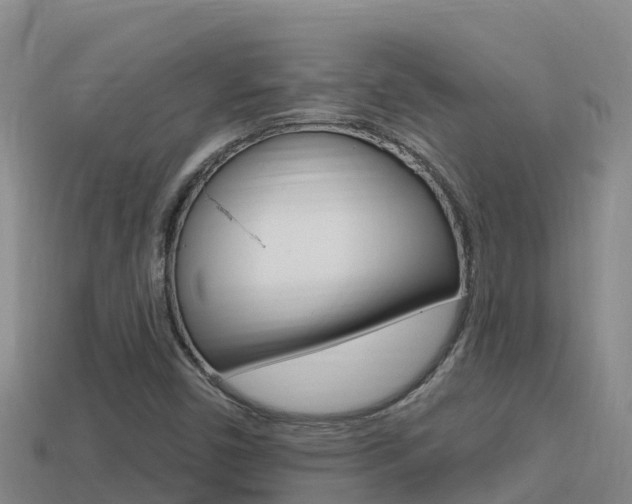 X0000114421450200910161043
