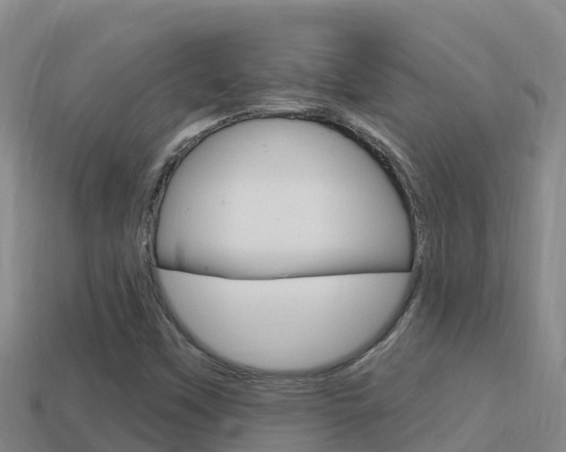 X0000114421451200910161043