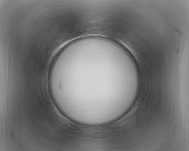 X0000114421452200910161043