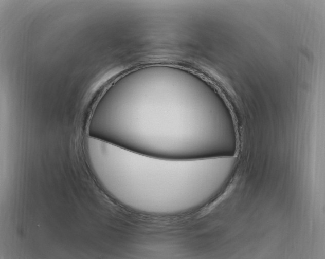 X0000114421453200910161043