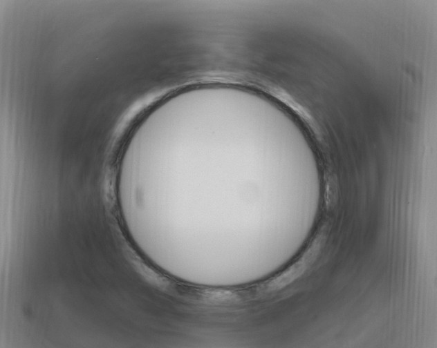 X0000114421454200910161043