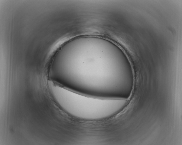 X0000114421455200910161043