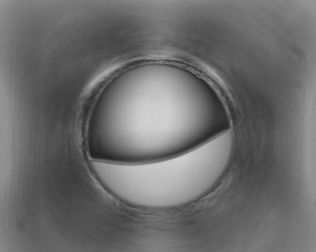 X0000114421456200910161043