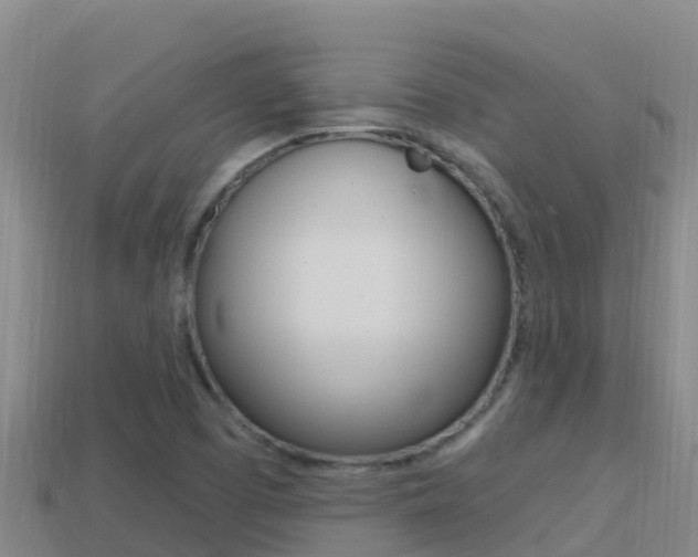 X0000114421457200910161043