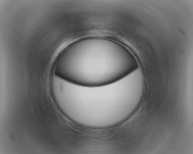 X0000114421459200910161043