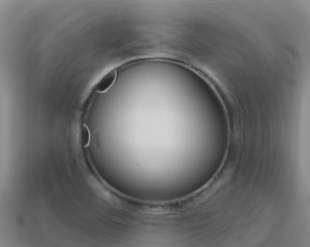 X0000114421460200910161043