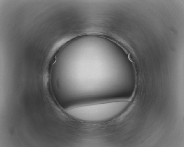 X0000114421461200910161043